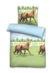 Edel-Linon-Bettwäsche mit Reißverschluss Maße: Bezug 135x200 / Kopfkissen 80x80