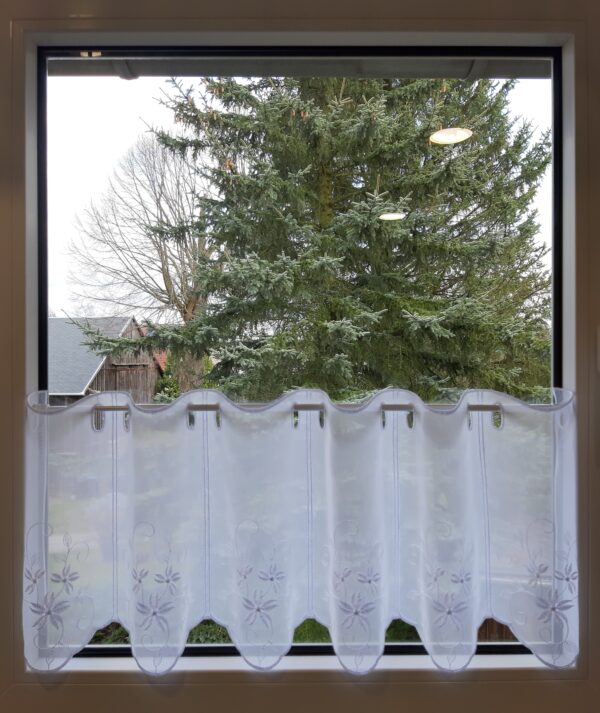 40323003010W 40323003010W