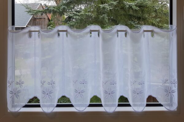 40323003010W1 40323003010W1