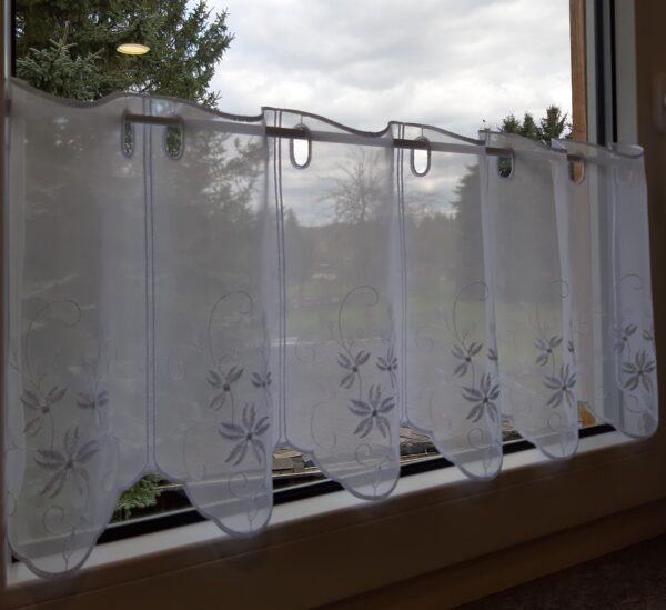 40323003010W2 40323003010W2