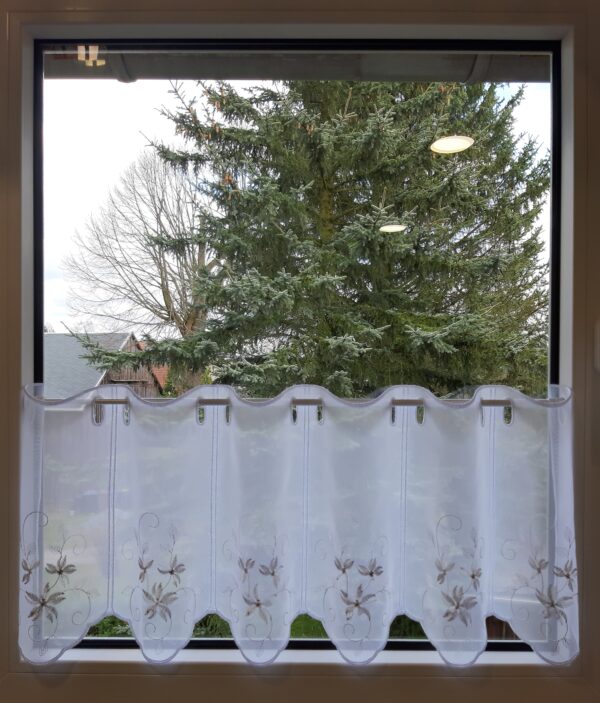 40323003030B 40323003030B