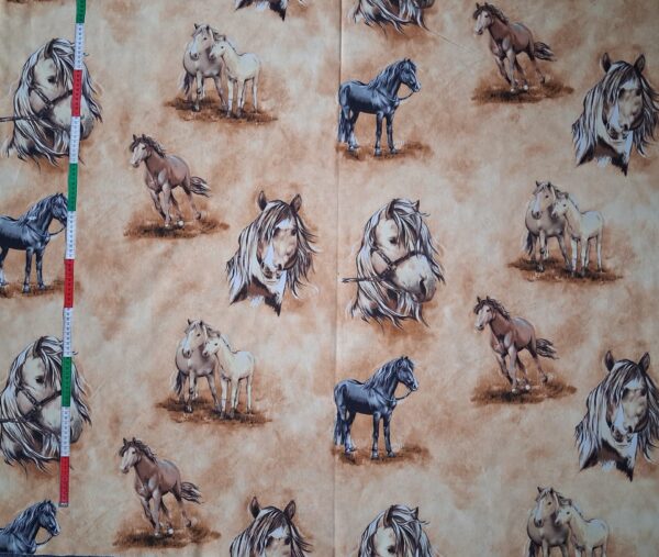 26041908 1 26041908 1